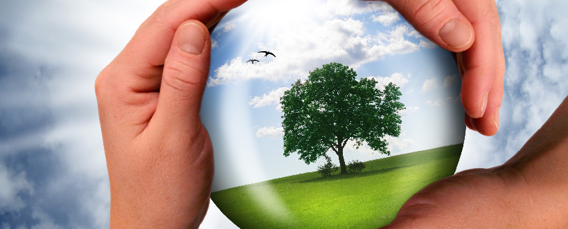 Proteccion-de-la-Naturaleza